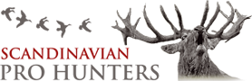 logotype