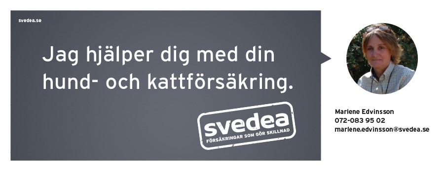 logotype